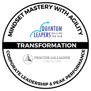Mindset Mastery with Agility - Corporate Leadership & Peak Performance